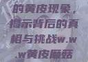 探索w.w.w下的黄皮现象，揭示背后的真相与挑战w.w.w黄皮磨菇招商