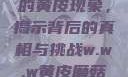 探索w.w.w下的黄皮现象，揭示背后的真相与挑战w.w.w黄皮磨菇招商