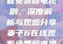 妻子6在线观看免费版电视剧，深度解析与观感分享妻子6在线观看免费版电视剧