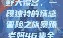暴躁老妈与荒野大镖客，一段独特的情感冒险之旅暴躁老妈46集全免费观看
