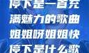 姐姐呀姐姐快停下是一首充满魅力的歌曲姐姐呀姐姐快停下是什么歌曲小说