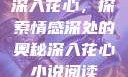深入花心，探索情感深处的奥秘深入花心小说阅读