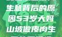 探寻53岁大妈山坡做皮肉生意背后的原因53岁大妈山坡做皮肉生意的原因视频