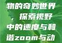 Zoom与动物的奇妙世界，探索视野中的速度与和谐zoom与动物zoom大全