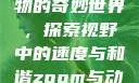 Zoom与动物的奇妙世界，探索视野中的速度与和谐zoom与动物zoom大全