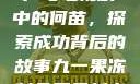 九一果冻制品厂与电视剧中的何苗，探索成功背后的故事九一果冻制品厂最新电视剧何苗小说