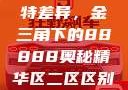 探索精华区与二区的独特差异，金三角下的88888奥秘精华区二区区别88888金三角百度