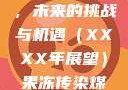 果冻传染煤，未来的挑战与机遇（XXXX年展望）果冻传染煤2024年