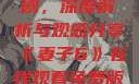 妻子6在线观看免费版电视剧，深度解析与观感分享《妻子6》在线观看免费版电视剧公公与媳妇