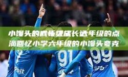 小馒头的六年级成长记
小馒头的成长之旅，六年级的点滴回忆小学六年级的小馒头夸克