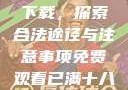 免费观看已满十八岁电视剧下载，探索合法途径与注意事项免费观看已满十八岁电视剧下载在线播放