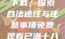 免费观看已满十八岁电视剧下载，探索合法途径与注意事项免费观看已满十八岁电视剧下载在线播放