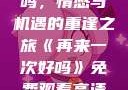 再来一次好吗，情感与机遇的重逢之旅《再来一次好吗》免费观看高清全集