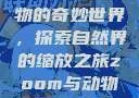 Zoom与动物的奇妙世界，探索自然界的缩放之旅zoom与动物zoom大全