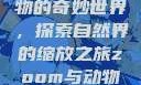 Zoom与动物的奇妙世界，探索自然界的缩放之旅zoom与动物zoom大全