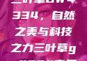 三叶草GW4334，自然之美与科技之力三叶草gw4334官网