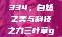 三叶草GW4334，自然之美与科技之力三叶草gw4334官网