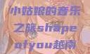 Shape of You，越南小姑娘的音乐之旅shapeofyou越南小姑娘的背景故事