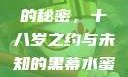 YSL水蜜桃的秘密，十八岁之约与未知的黑幕水蜜桃b y
