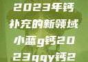 小蓝G钙与GGY钙，探索2023年钙补充的新领域小蓝g钙2023ggy钙2023的功能介绍