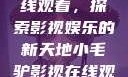 小毛驴影视在线观看，探索影视娱乐的新天地小毛驴影视在线观看901集