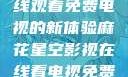 探索麻花星空影视，在线观看免费电视的新体验麻花星空影视在线看电视免费版 不装饰你的梦