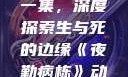 夜勤病栋动漫在线观看第一集，深度探索生与死的边缘《夜勤病栋》动漫在线观看第一集樱花