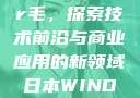 日本Windows Server毛，探索技术前沿与商业应用的新领域日本WINDOWSSERVER毛