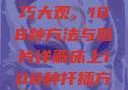 床上扦插技巧大观，108种方法与图片详解床上108种扦插方法图片大全