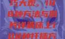 床上扦插技巧大观，108种方法与图片详解床上108种扦插方法图片大全