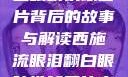 西施流眼泪翻白眼咬铁球图片背后的故事与解读西施流眼泪翻白眼咬铁球图片高清壁纸