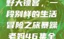 暴躁老妈与荒野大镖客，一段别样的生活冒险之旅暴躁老妈46集全免费观看