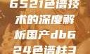 国产DB624色谱柱与36521色谱技术的深度解析国产db624色谱柱36521图片小说