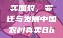 中国农村的真实面貌，变迁与发展中国农村真卖Bbwbbw