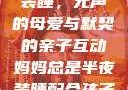 妈妈总是半夜装睡，无声的母爱与默契的亲子互动妈妈总是半夜装睡配合孩子缓解性压力