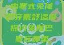 内塞式兔尾巴穿戴舒适度探讨兔尾巴塞在哪里