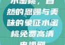 水蜜桃，自然的恩赐与美味的象征水蜜桃免费高清电视剧