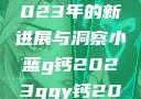 探索小蓝G钙与GGY钙，2023年的新进展与洞察小蓝g钙2023ggy钙2023的功能介绍