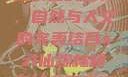 探索xzl仙踪林精品的世界，自然与人文的完美结合xzl仙踪林精品幼儿园的课程设置