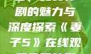 妻子5在线观看，免费韩剧的魅力与深度探索《妻子5》在线观看免费韩剧全集