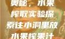 小洞中的果汁奥秘，水果榨取实验探索往小洞里放水果榨果汁会怎样视频