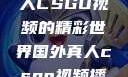 探索国外真人CSGO视频的精彩世界国外真人csgo视频播放