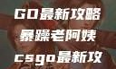 暴躁老阿姨教你玩转CSGO最新攻略暴躁老阿姨csgo最新攻略 适合五十岁阿姨