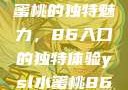 探索YSL水蜜桃的独特魅力，86入口的独特体验ysl水蜜桃86入口直播