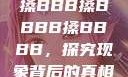 搡BBB搡BBBB搡BBBB，探究现象背后的真相