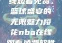 樱花NBA在线观看免费，篮球盛宴的无限魅力樱花nba在线观看免费软件下载