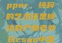 黑人双人rapper，纯粹的艺术还是模仿的产物老外玩csgo中国的妹子