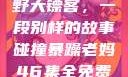 暴躁老妈与荒野大镖客，一段别样的故事碰撞暴躁老妈46集全免费观看