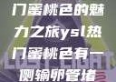 探索YSL热门蜜桃色的魅力之旅ysl热门蜜桃色有一侧输卵管堵了可以怀孕吗