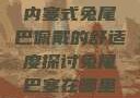 内塞式兔尾巴佩戴的舒适度探讨兔尾巴塞在哪里